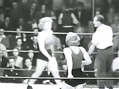 Vintage cat fights